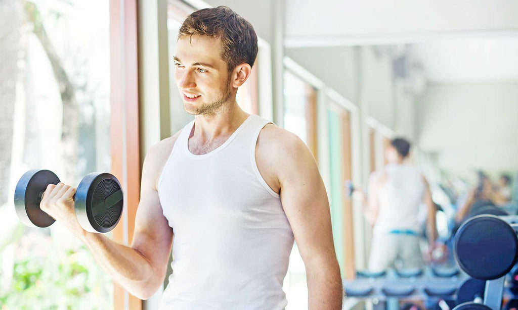 Protein Supplement Guide For Body Building Newbies